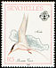 Roseate Tern Sterna dougallii  1989 Island birds 