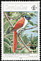 Seychelles Paradise Flycatcher Terpsiphone corvina  1996 WWF 