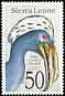 Western Long-tailed Hornbill Horizocerus albocristatus  1992 Birds 