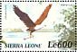 African Fish Eagle Icthyophaga vocifer  2000 Birds of Africa Sheet