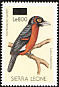 Double-toothed Barbet Pogonornis bidentatus  2008 Surcharge on 1988.01 