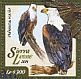 African Fish Eagle Icthyophaga vocifer  2015 African Fish Eagle Sheet