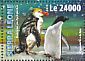 Fiordland Penguin Eudyptes pachyrhynchus  2016 Penguins  MS