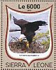 Bald Eagle Haliaeetus leucocephalus  2016 Birds of prey Sheet
