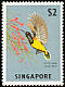 Ornate Sunbird Cinnyris ornatus  1963 Birds wmk upright