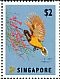 Ornate Sunbird Cinnyris ornatus