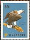 White-bellied Sea Eagle Icthyophaga leucogaster  2012 Singapore 2015 Sheet