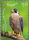 Peregrine Falcon Falco peregrinus  2019 Joint issue with Poland Sheet