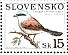 Red-backed Shrike Lanius collurio  1999 Nature conservation - birds Sheet