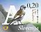 White-winged Snowfinch Montifringilla nivalis  2015 Birds sa