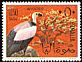 Palm-nut Vulture Gypohierax angolensis  1966 Somali birds 