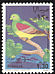 Bruce's Green Pigeon Treron waalia  1968 Birds 