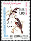 Pygmy Batis Batis perkeo  1980 Birds p 13Â½x14
