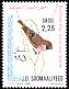 Somali Golden-winged Grosbeak Rhynchostruthus louisae  1980 Birds p 13Â½x14