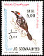 Red-naped Bushshrike Laniarius ruficeps  1980 Birds p 13Â½x14