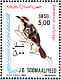 Red-naped Bushshrike Laniarius ruficeps  1980 Birds Sheet, p 14x14Â½