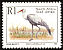 Wattled Crane Grus carunculata  1993 6th definitives Latin bird name