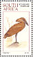 Hamerkop Scopus umbretta  1997 Waterbirds, Ilsapex 98 Sheet, p 14Â¼x14