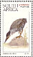 Striated Heron Butorides striata  1997 Waterbirds, Ilsapex 98 Sheet, p 14Â¼x14
