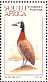 White-faced Whistling Duck Dendrocygna viduata  1997 Waterbirds, Ilsapex 98 Sheet, p 14Â¼x14