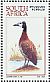White-faced Whistling Duck Dendrocygna viduata  1997 Waterbirds Booklet, p 14x14