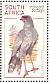 Pale Chanting Goshawk Melierax canorus  1998 South African raptors Sheet