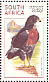 Jackal Buzzard Buteo rufofuscus  1998 South African raptors Sheet