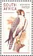 Lanner Falcon Falco biarmicus  1998 South African raptors Sheet