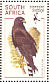 Black Harrier Circus maurus  1998 South African raptors Sheet