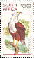 African Fish Eagle Icthyophaga vocifer  1998 South African raptors Sheet