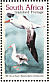 Snowy Albatross Diomedea exulans  1999 Migratory species 10v sheet