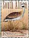 White-bellied Bustard Eupodotis senegalensis  2010 Grassland birds of South Africa Sheet with 2 sets