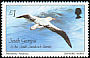 Snowy Albatross Diomedea exulans  1987 Birds 