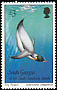 King Penguin Aptenodytes patagonicus  1987 Birds 