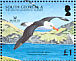 Black-browed Albatross Thalassarche melanophris  2006 BirdLife International Sheet