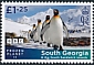 King Penguin Aptenodytes patagonicus  2023 Frozen Planet II 