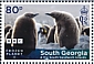 King Penguin Aptenodytes patagonicus  2023 Frozen Planet II 4x80p sheet