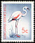 Lesser Flamingo Phoeniconaias minor  1961 Definitives wmk coat of arms