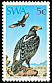 Verreaux's Eagle Aquila verreauxii  1975 Protected birds of prey 