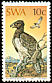 Martial Eagle Polemaetus bellicosus  1975 Protected birds of prey 