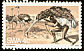 Common Ostrich Struthio camelus  1978 The Bushmen 4v set