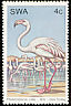 Greater Flamingo Phoenicopterus roseus  1979 Water birds 