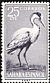 Grey Heron Ardea cinerea  1959 Birds 