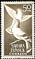Rock Dove Columba livia  1961 Birds 
