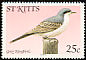 Grey Kingbird Tyrannus dominicensis  1981 Birds 