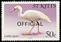 Western Cattle Egret Bubulcus ibis  1981 Overprint OFFICIAL on 1981.01 