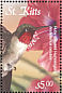 Ruby-throated Hummingbird Archilochus colubris  2001 Caribbean fauna and flora  MS
