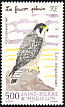 Peregrine Falcon Falco peregrinus  1997 Migratory birds 