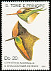 White-crested Coquette Lophornis adorabilis  1989 Hummingbirds 