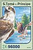 Osprey Pandion haliaetus  2016 Birds of prey  MS